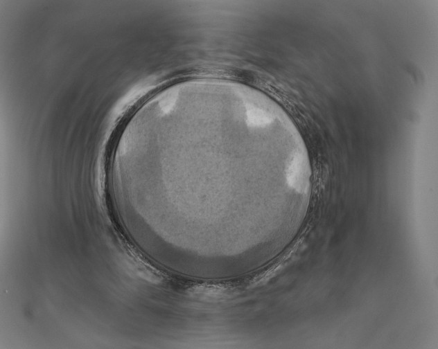 X0000112030294200908311221