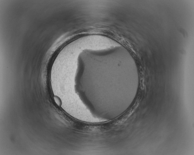 X0000112030295200908311221
