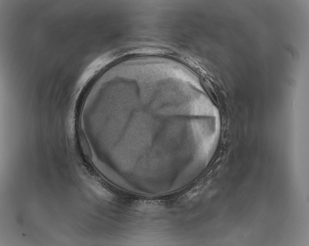 X0000112030296200908311221