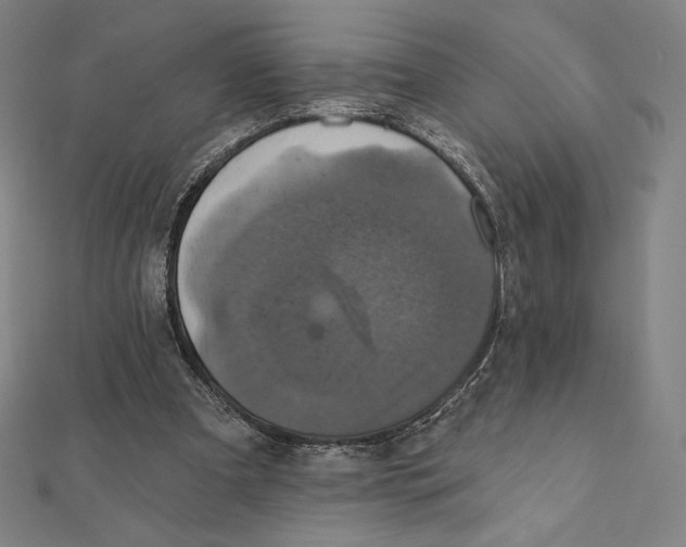 X0000112030297200908311221