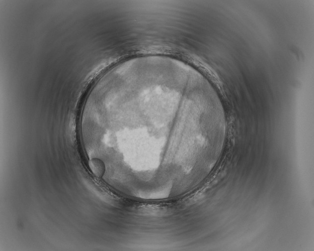 X0000112030298200908311221