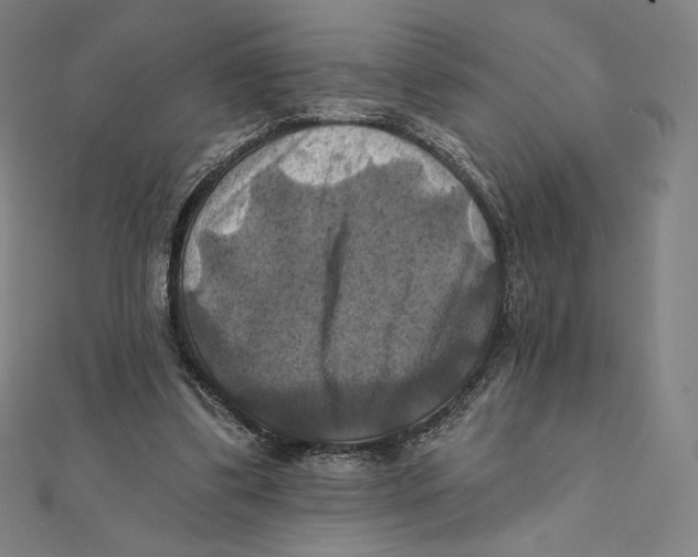 X0000112030299200908311221