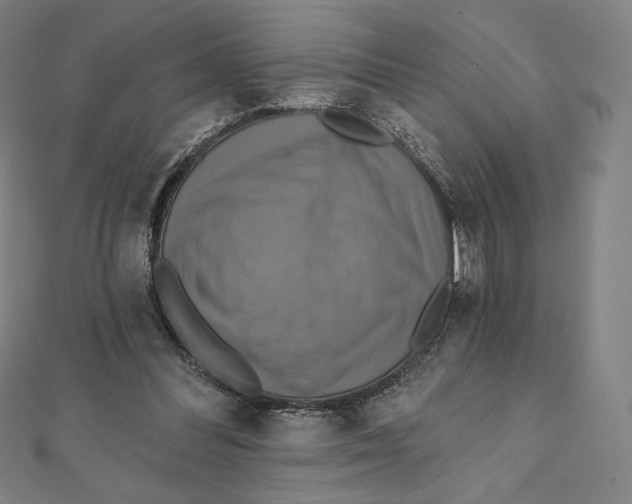 X0000112030300200908311221