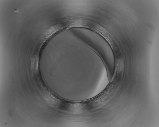 X0000112030301200908311221