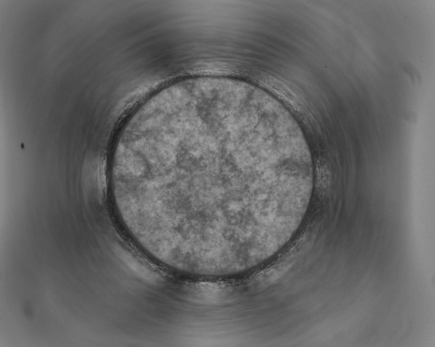 X0000112030302200908311221