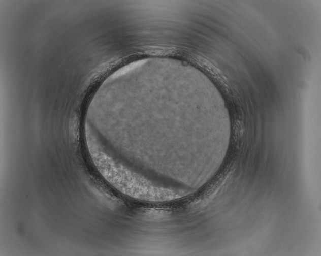 X0000112030303200908311221