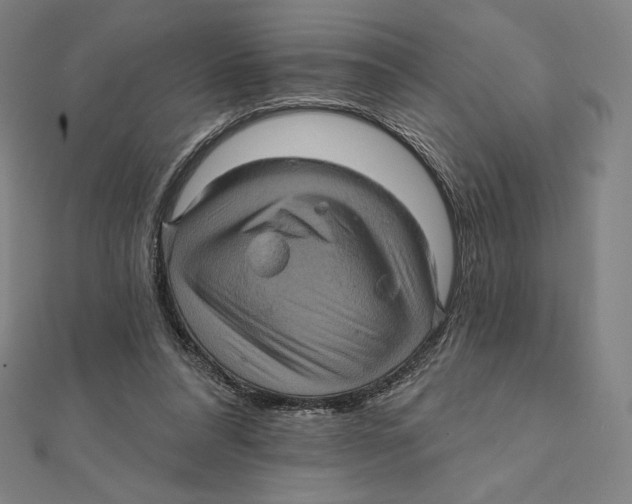 X0000112030304200908311221