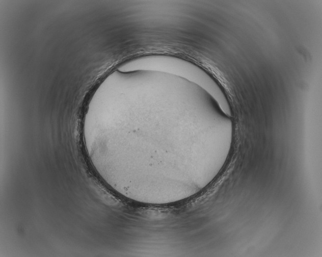 X0000112030305200908311221