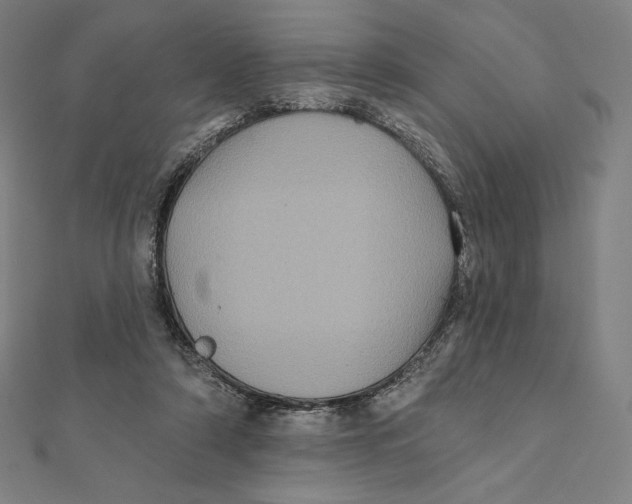 X0000112030306200908311221