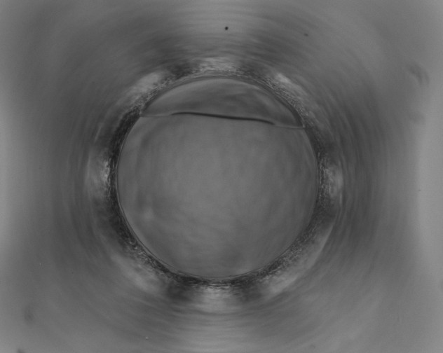 X0000112030308200908311221