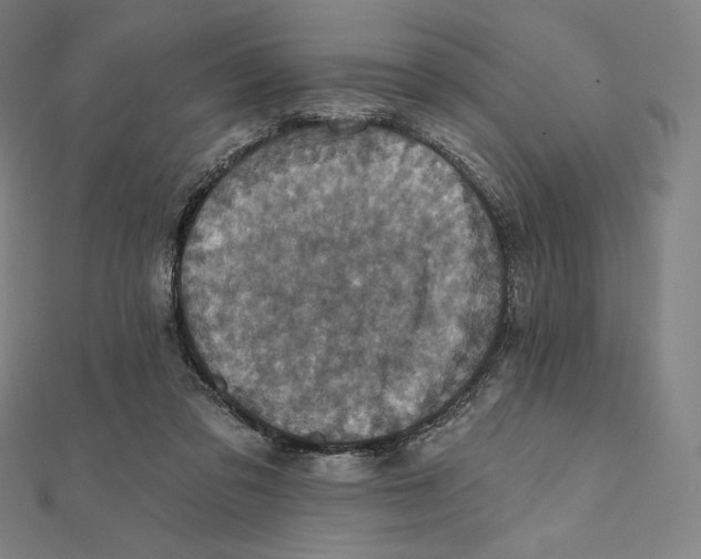 X0000112030309200908311221