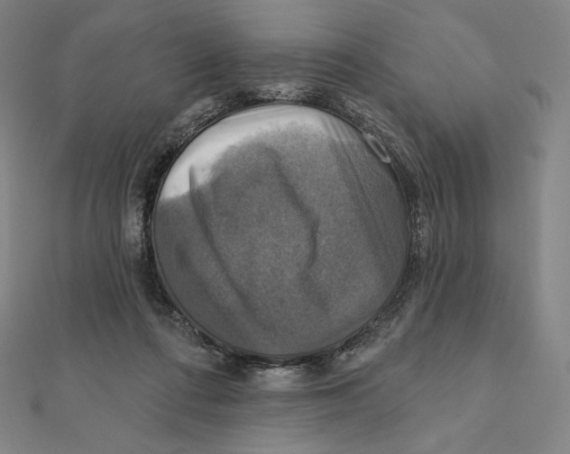 X0000112030312200908311221