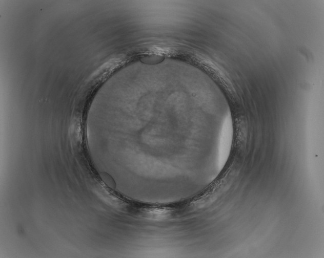 X0000112030313200908311221