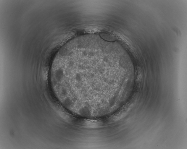 X0000112030315200908311221