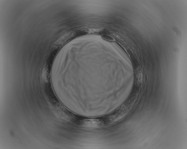 X0000112030316200908311221