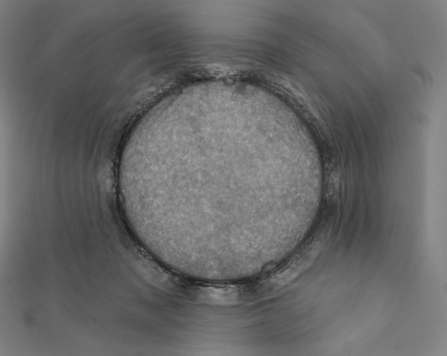X0000112030317200908311221