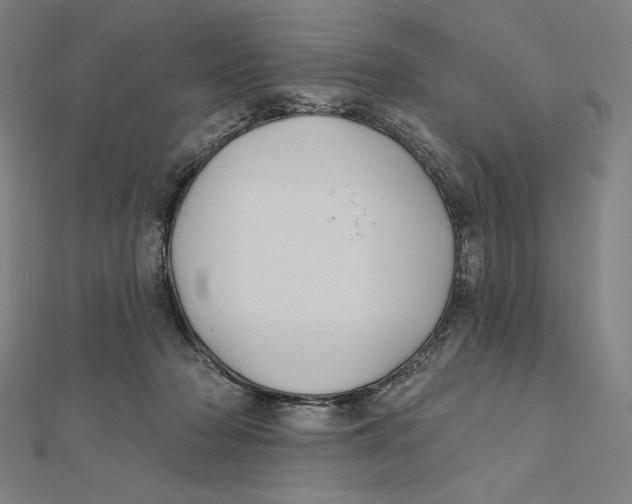 X0000112030318200908311221