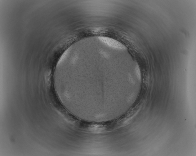 X0000112030319200908311221