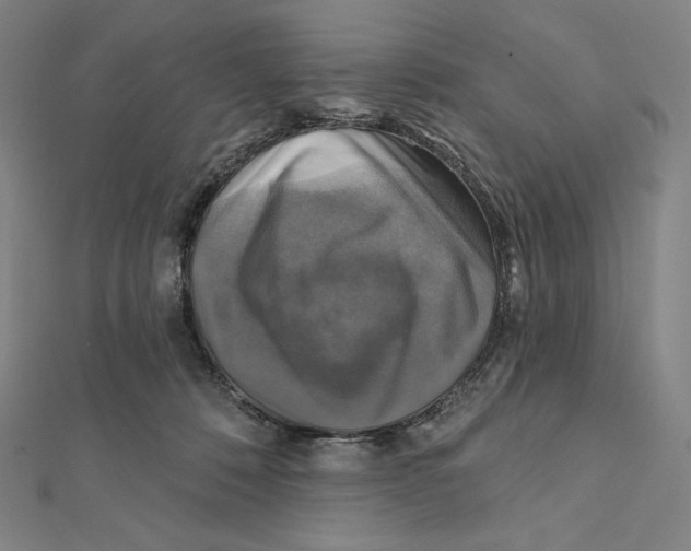 X0000112030320200908311221
