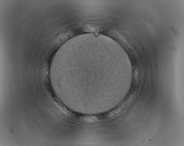 X0000112030322200908311221