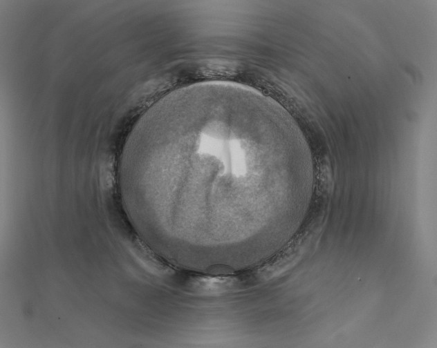 X0000112030323200908311221