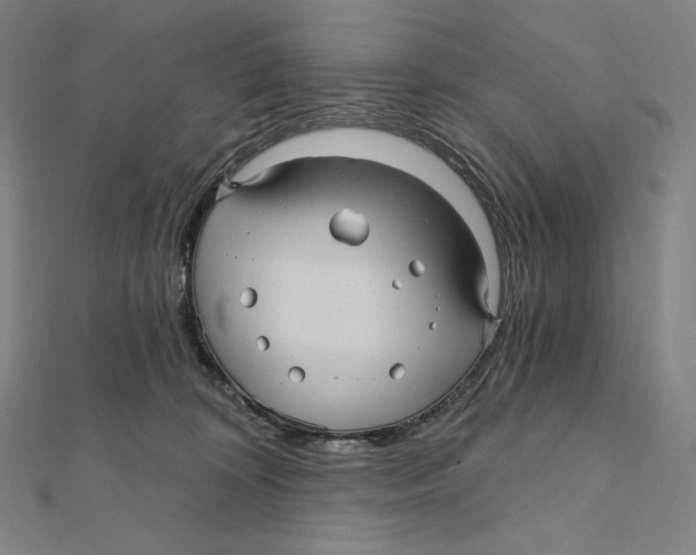 X0000112030324200908311221