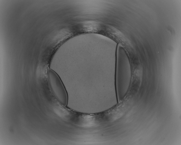 X0000112030325200908311221