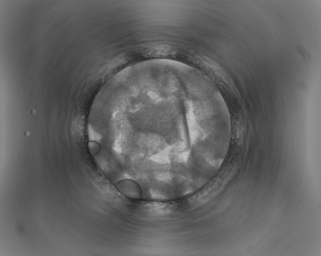 X0000112030326200908311221