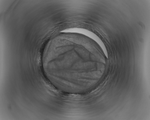 X0000112030328200908311221