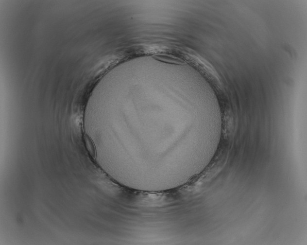 X0000112030329200908311221