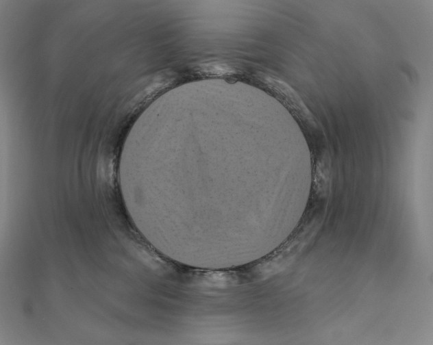 X0000112030330200908311221