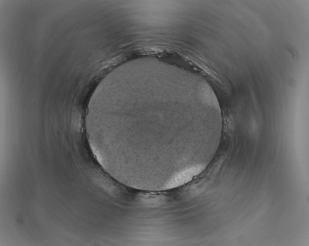 X0000112030331200908311220