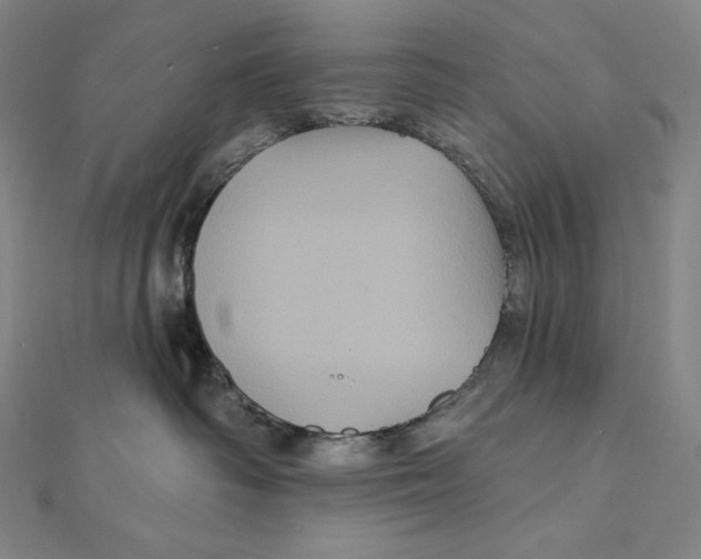 X0000112030334200908311220