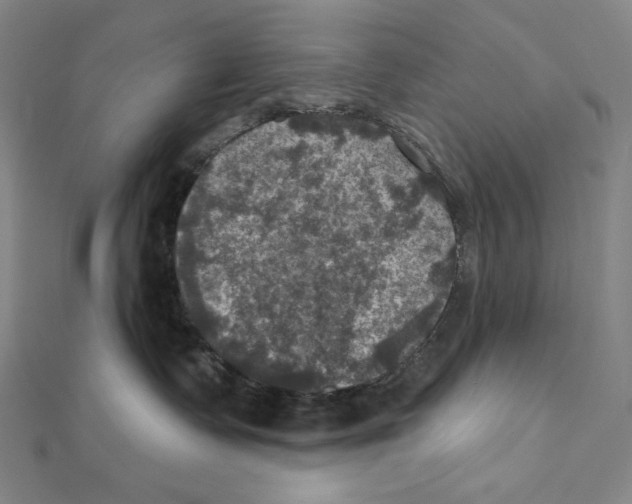 X0000112030335200908311220