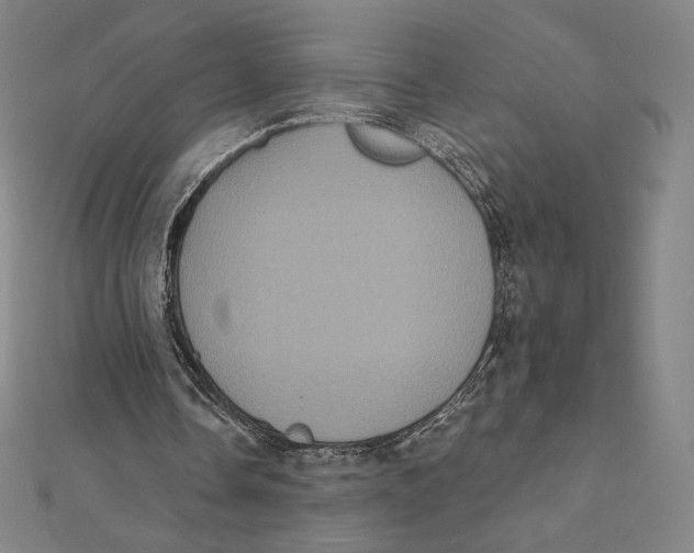 X0000112030338200908311220