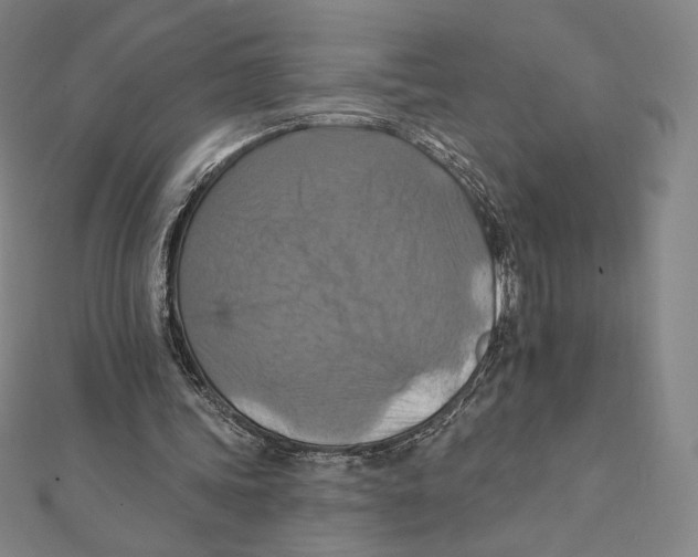 X0000112030339200908311220