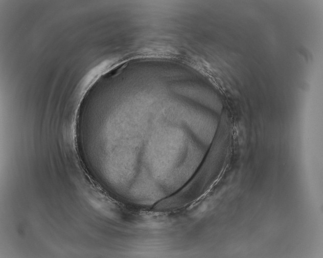 X0000112030340200908311220