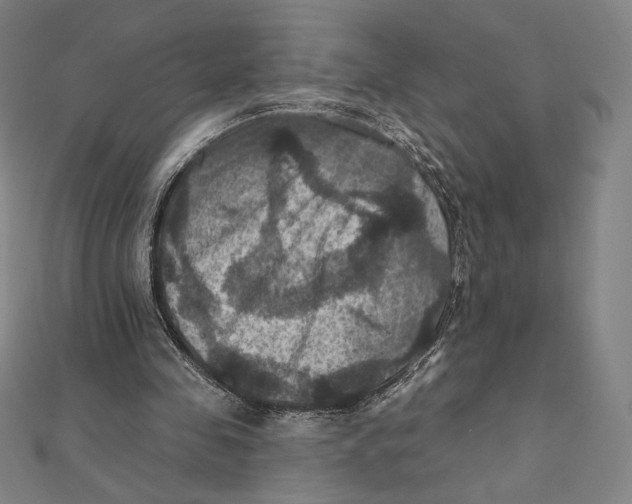 X0000112030341200908311220