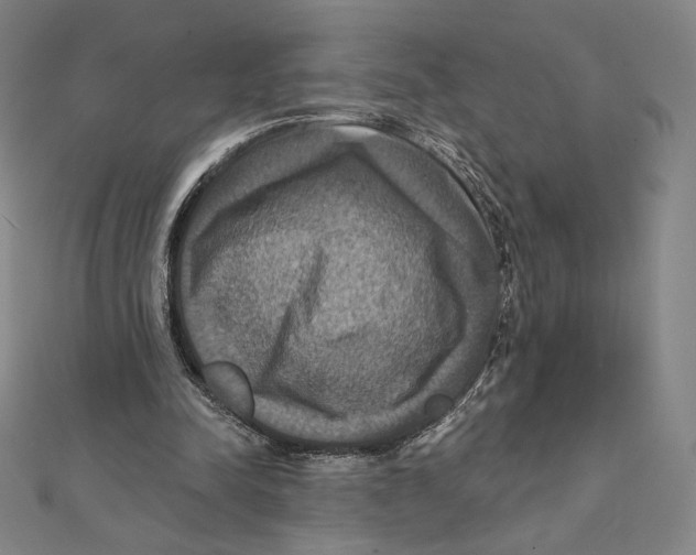 X0000112030342200908311220