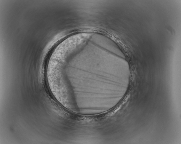 X0000112030343200908311220