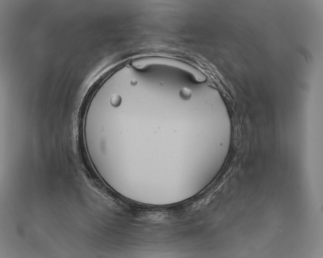 X0000112030344200908311220
