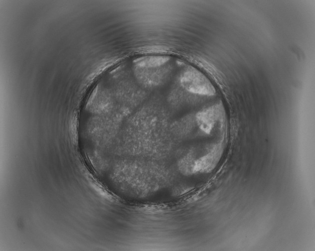 X0000112030345200908311220