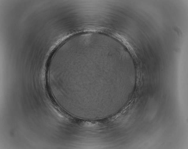 X0000112030346200908311220