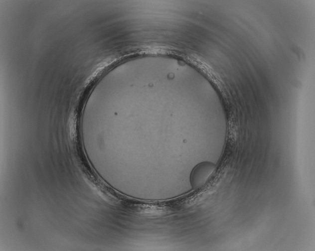 X0000112030347200908311220
