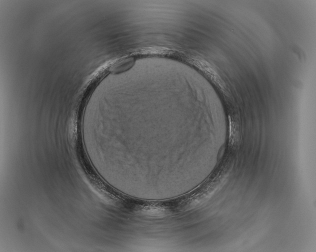 X0000112030348200908311220