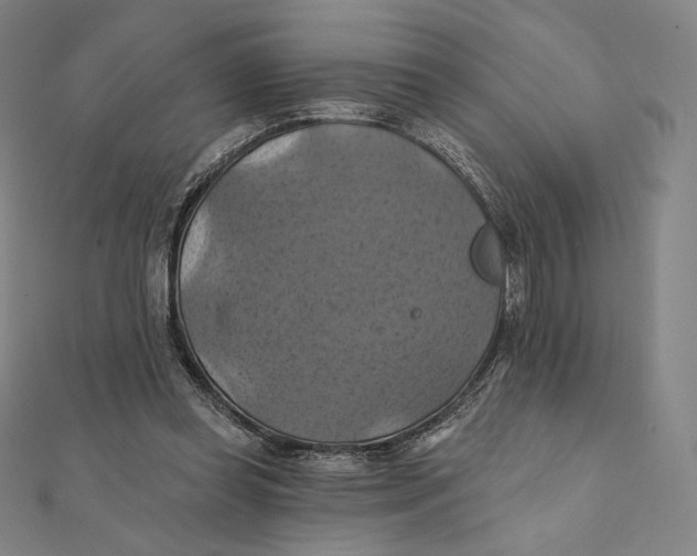 X0000112030349200908311220