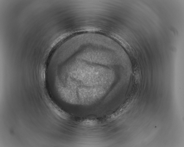 X0000112030350200908311220