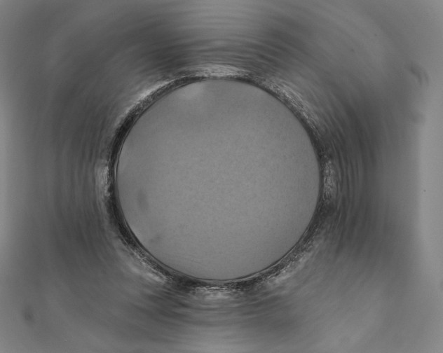 X0000112030351200908311220
