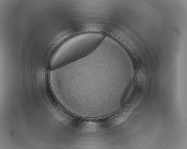 X0000112030352200908311220