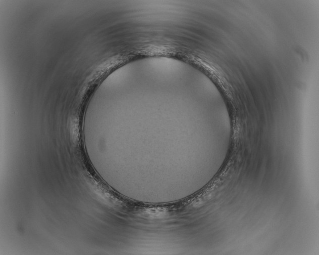 X0000112030353200908311220